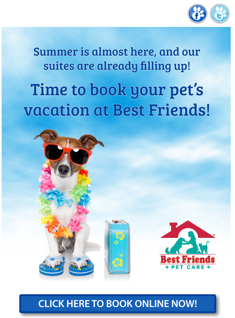 Best Friends Pet Care