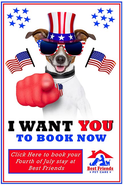 best friends pet care best friends pet care